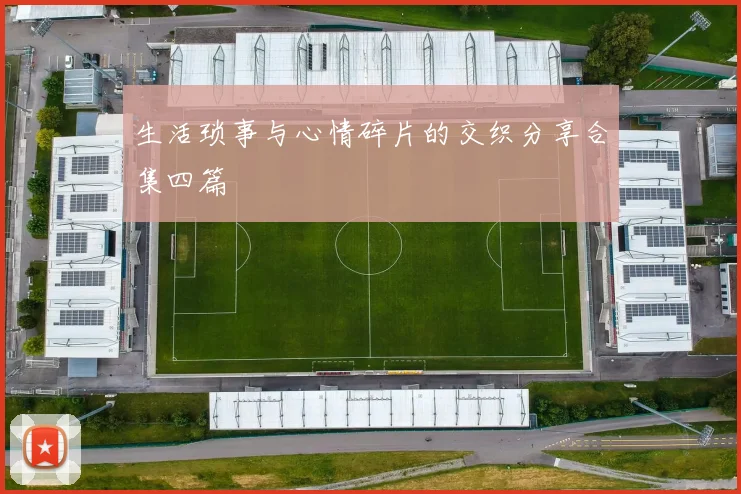 生活琐事与心情碎片的交织分享合集四篇