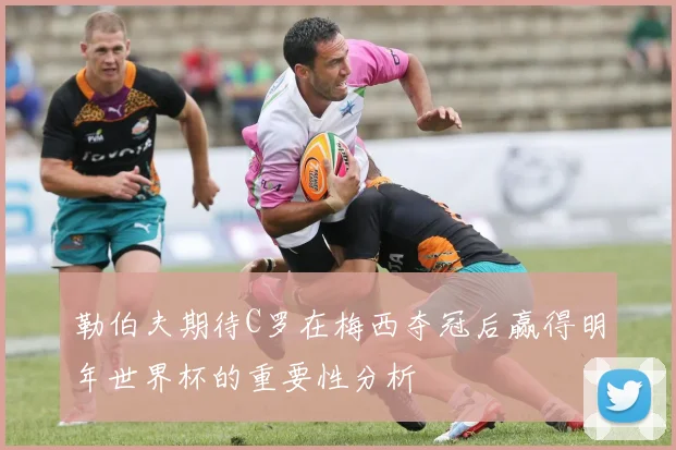 勒伯夫期待C罗在梅西夺冠后赢得明年世界杯的重要性分析