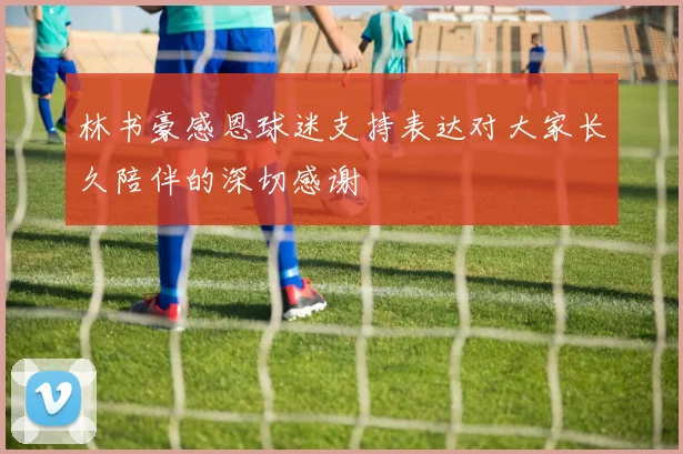林书豪感恩球迷支持表达对大家长久陪伴的深切感谢