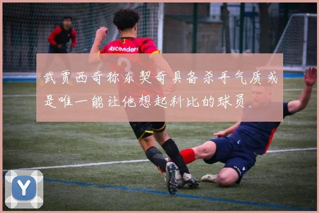 武贾西奇称东契奇具备杀手气质或是唯一能让他想起科比的球员