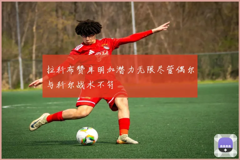 拉科布赞库明加潜力无限尽管偶尔与科尔战术不符