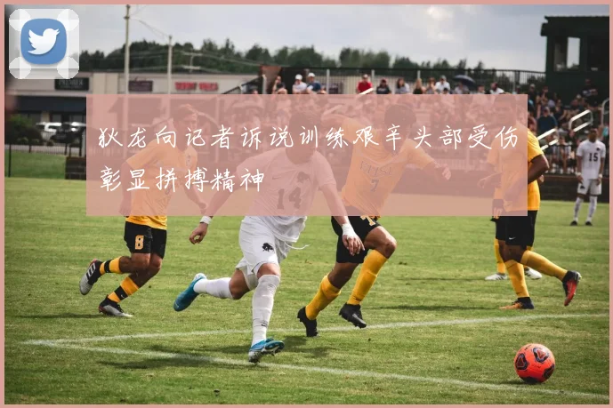 狄龙向记者诉说训练艰辛头部受伤彰显拼搏精神