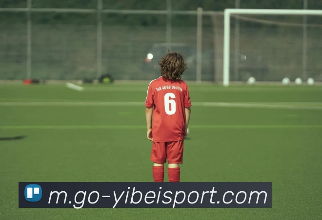 易倍体育平台生态图