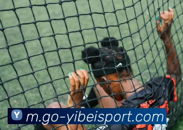 易倍体育APP 封面图